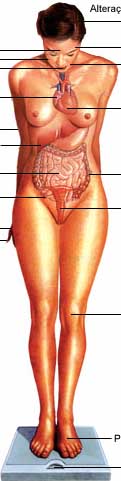 2.jpg (16586 bytes)